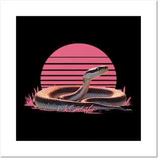 Retro sunset rattle snake Posters and Art